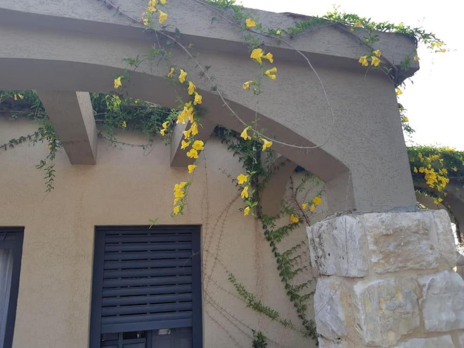 Hadar Rest & Relax Apartment Kefar Hittim Екстериор снимка